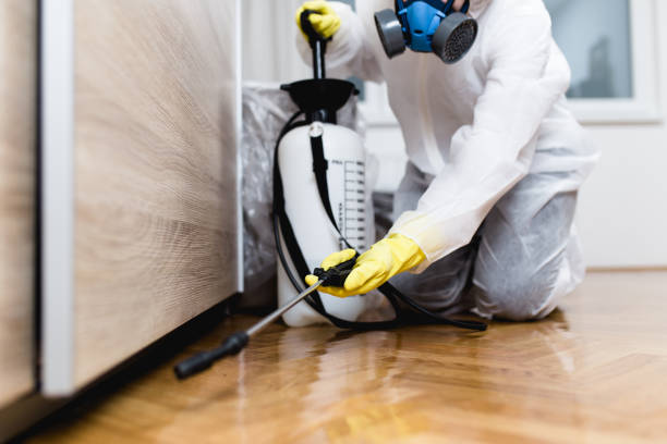 Best Flea Control Services  in Beach Haven, NJ