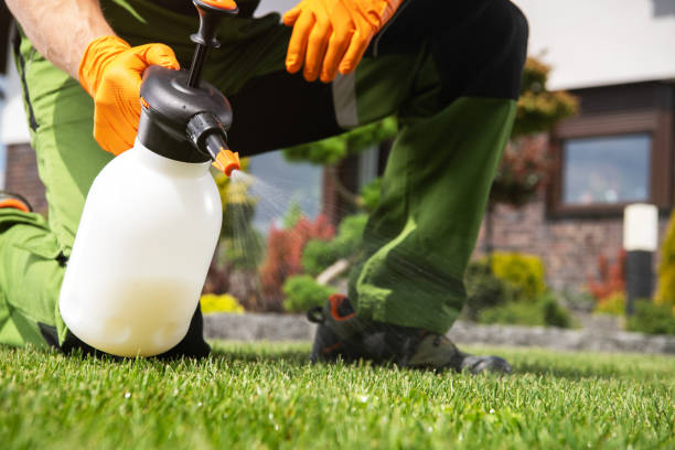 Best Wildlife Control Services  in Beach Haven, NJ