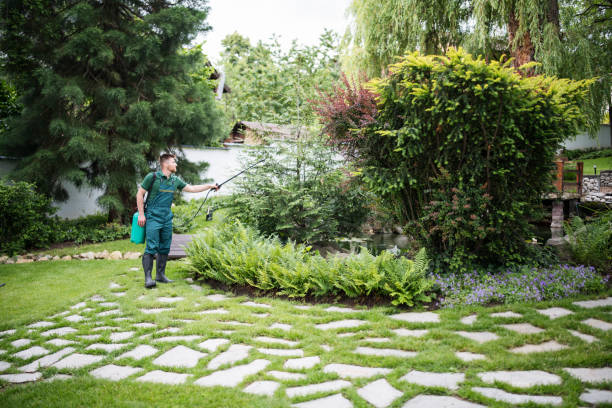 Best Local Pest Control Services  in Beach Haven, NJ
