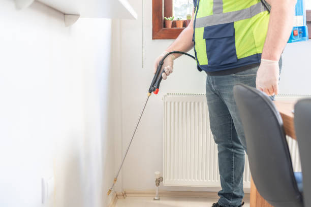 Best Ant Control Services  in Beach Haven, NJ