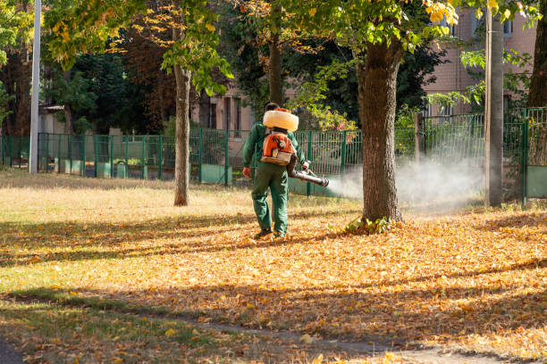 Best Termite Control Services  in Beach Haven, NJ