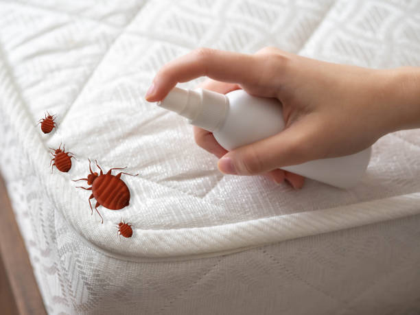 Best Residential Pest Control  in Beach Haven, NJ