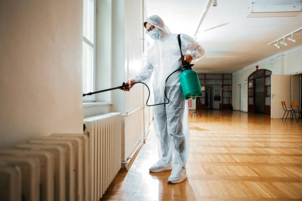 Best Pest Removal Services  in Beach Haven, NJ